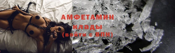 индика Алексин