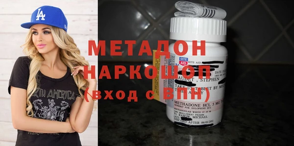 индика Алексин