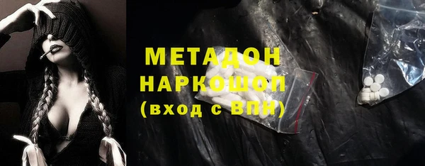 индика Алексин