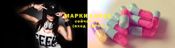 индика Алексин