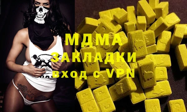 индика Алексин