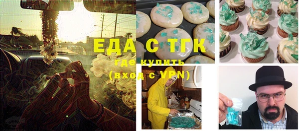 индика Алексин