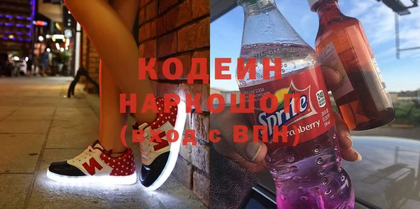 индика Алексин
