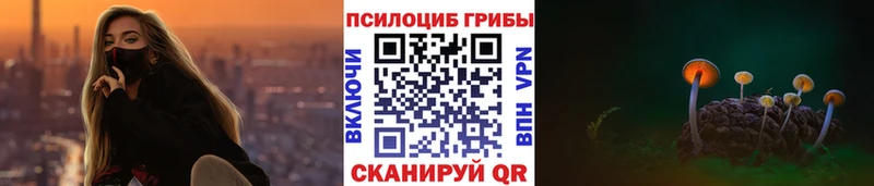 Галлюциногенные грибы Magic Shrooms  Купить  Тайшет 